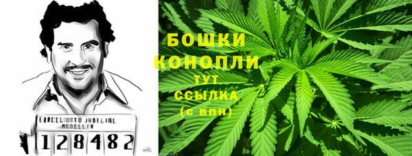 дживик Нефтегорск