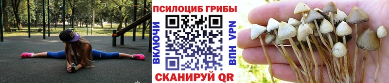 KRAKEN маркетплейс  магазин продажи наркотиков  Североморск  мориарти как зайти  Галлюциногенные грибы Magic Shrooms 